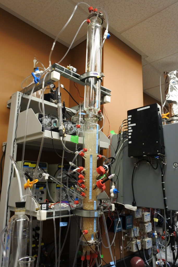 Overview of bioreactor