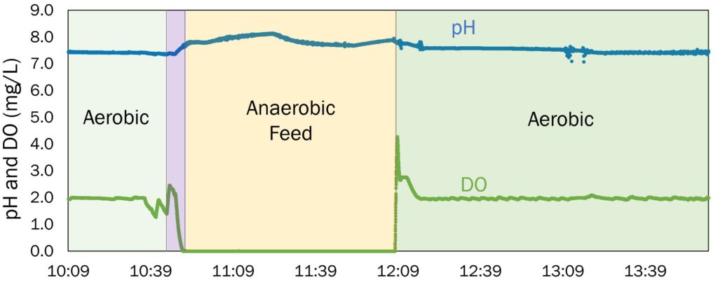 Real-time data logging of DO and pH signals in the bioreactor.